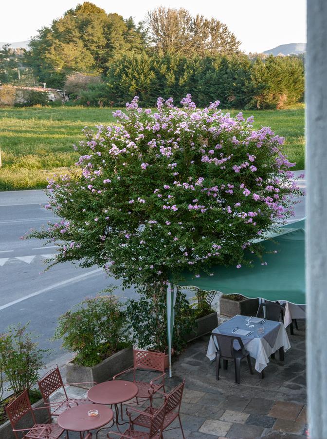 Tuscan Sun Holiday Apartments 루카 외부 사진